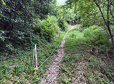 損壊した手すり