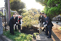 熊高創立120周年記念式典の記念植樹
